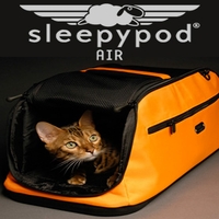  - Pet's Day Out